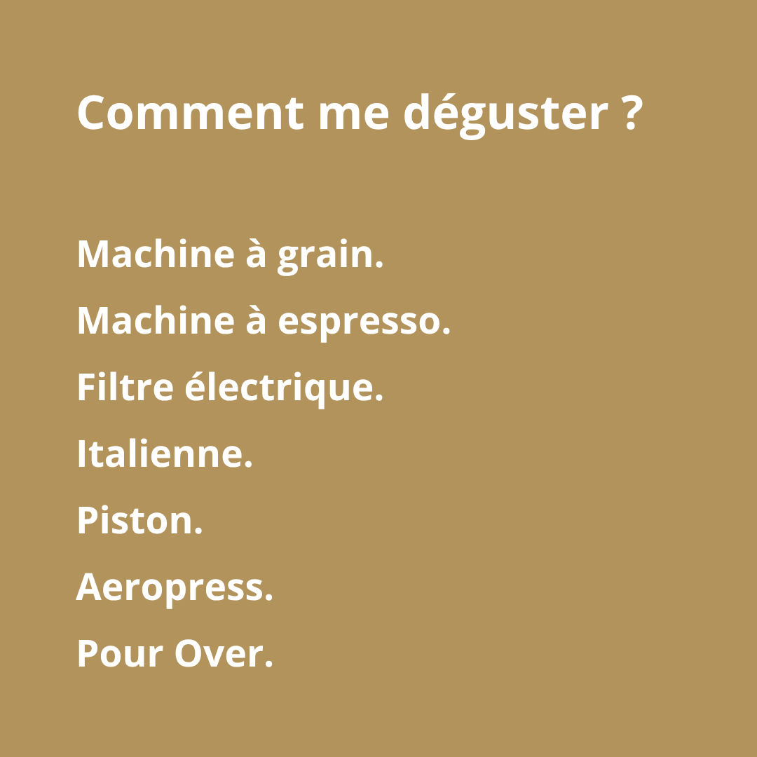 LAS AÑAS - Pérou (BIO) – Image 2