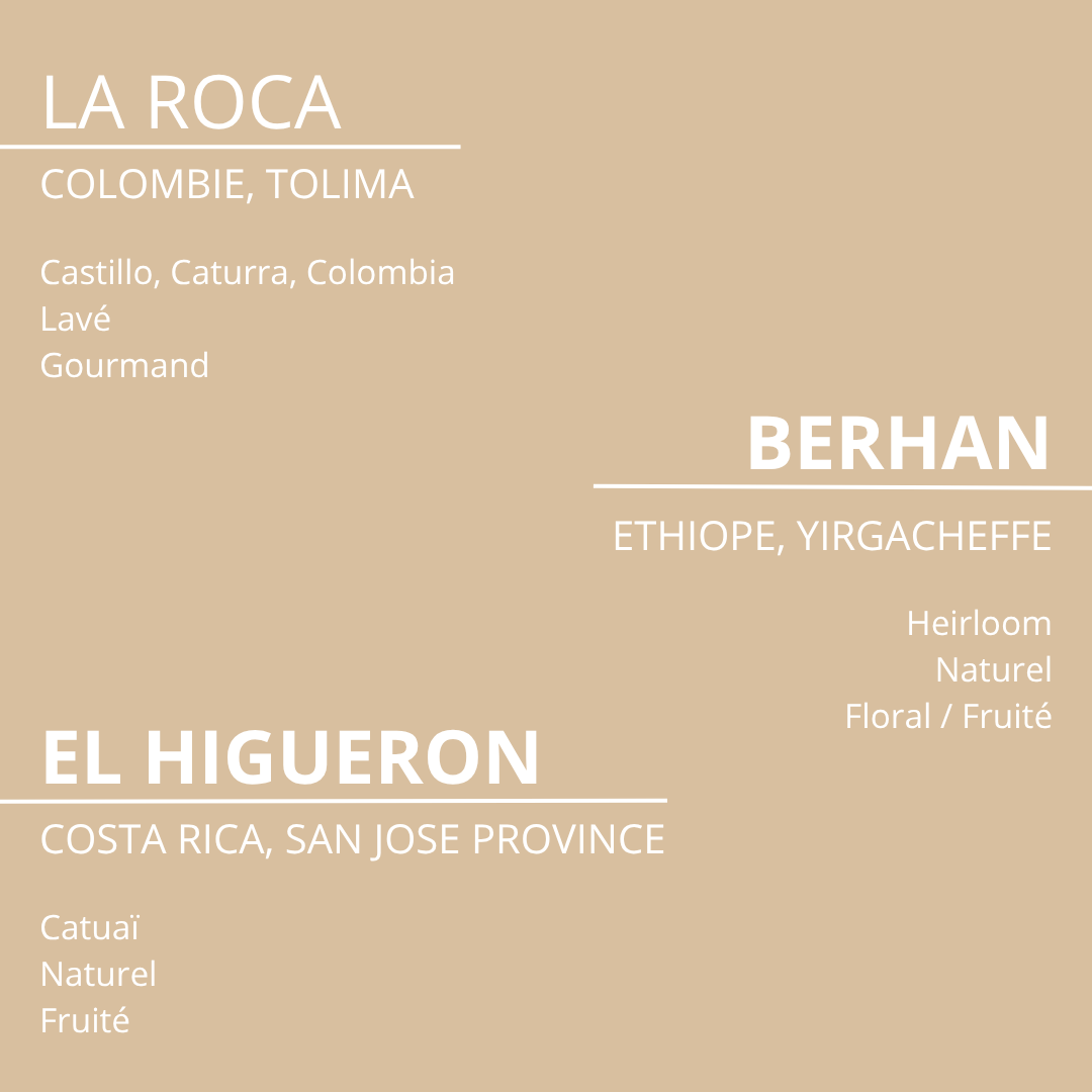 PACK DÉCOUVERTE - 3 cafés – Image 2