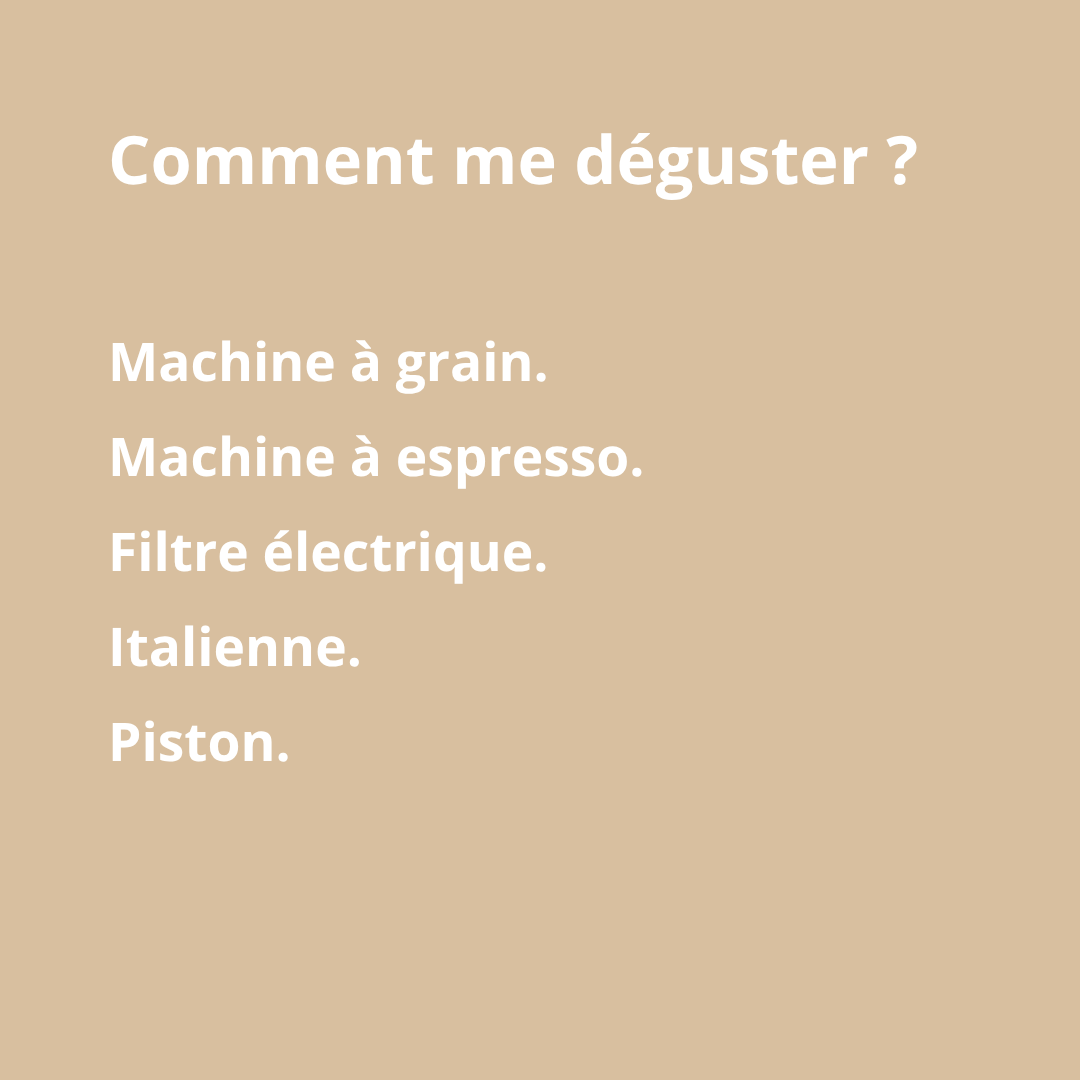 PACK DÉCOUVERTE - 3 cafés – Image 3