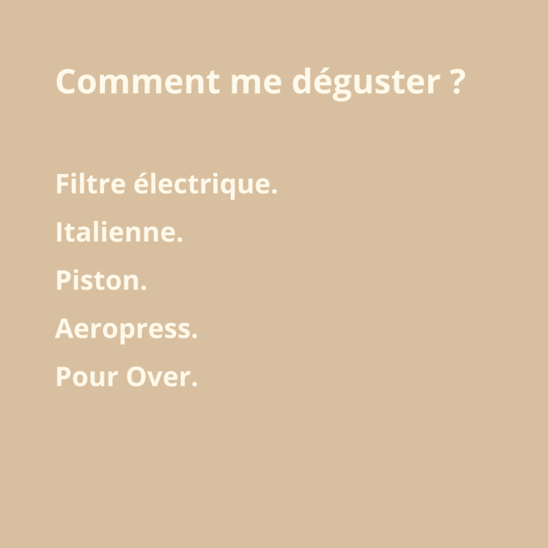 PACK FILTRE FUNKY - 2 cafés – Image 3