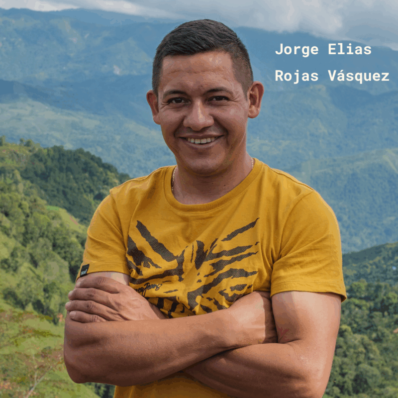 COVER IMAGES - LA ROCA