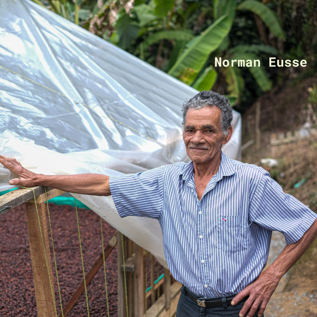 LA INCREÍBLE - Colombie – Image 2